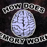 Ebbinghaus Forgetting Curve About Memory