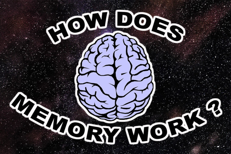 Ebbinghaus Forgetting Curve About Memory